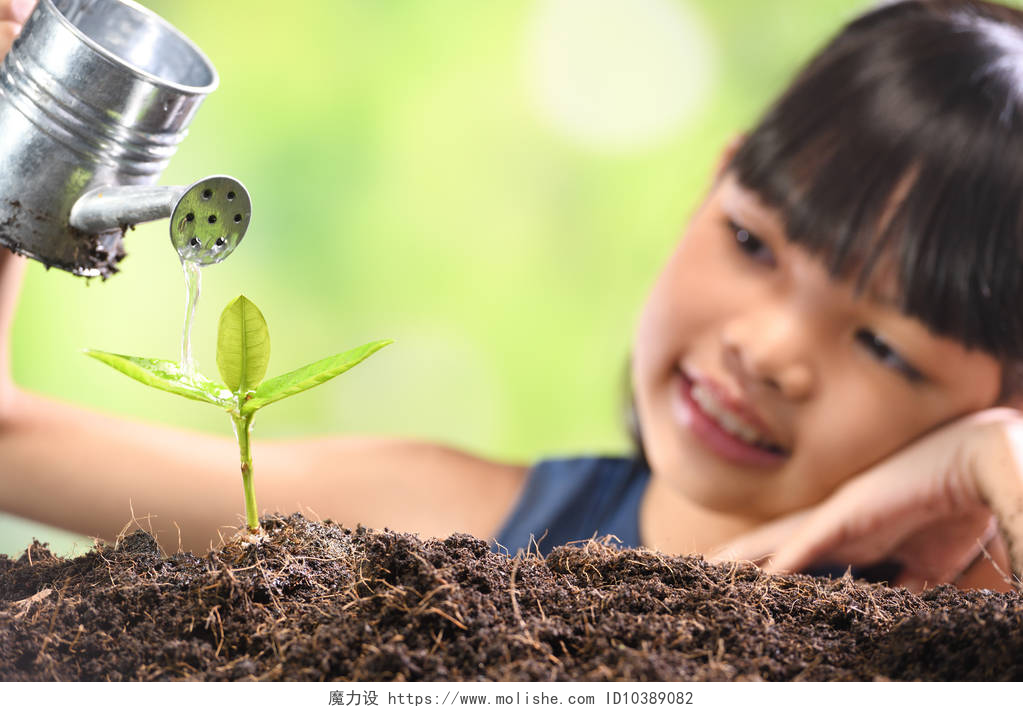 一个小女孩正在浇灌小树苗一个女孩在土壤上种植幼苗, 希望有良好的环境